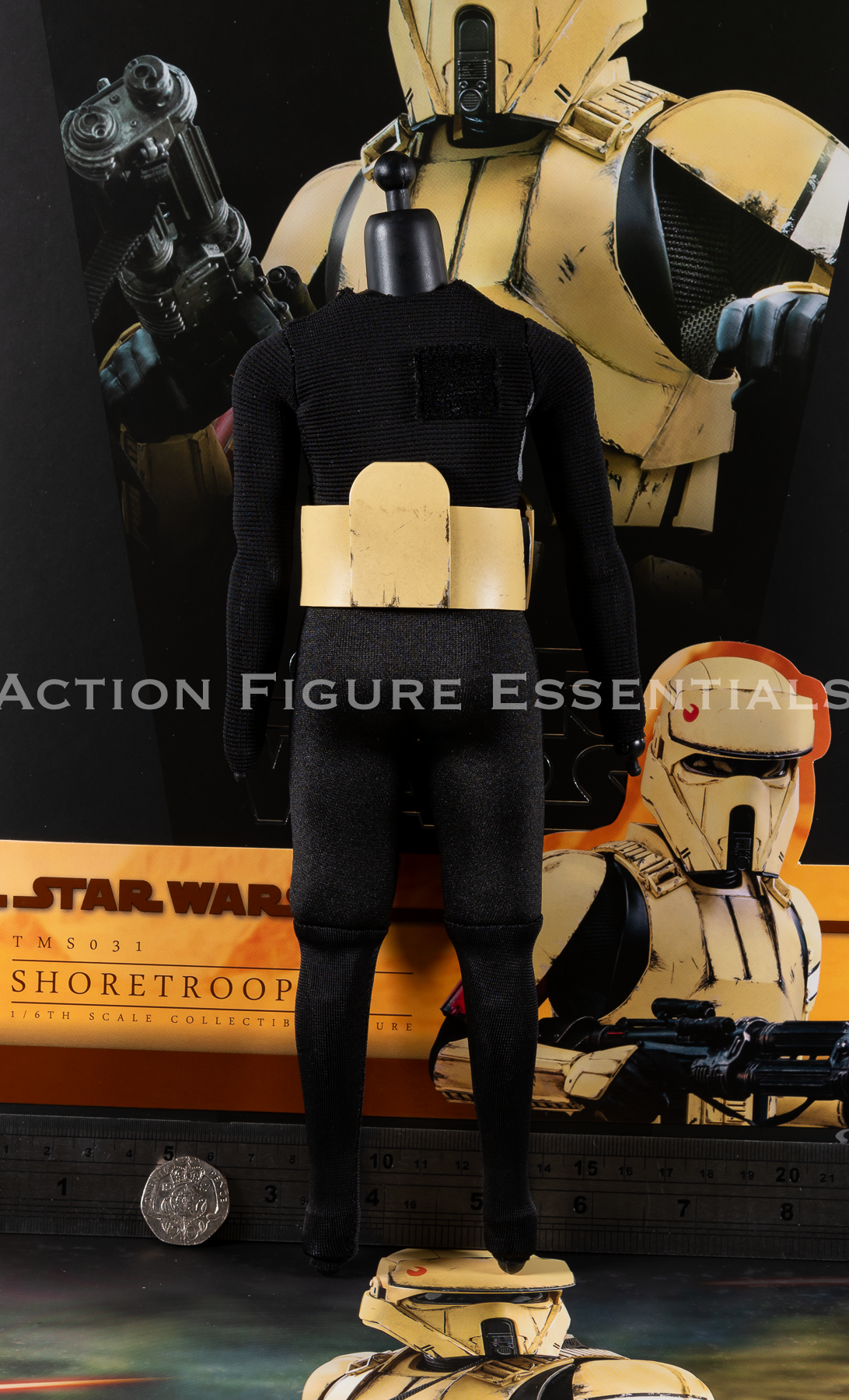 Hot Toys Star Wars Shoretrooper Body Set Plus Armour TMS031 1/6 Part