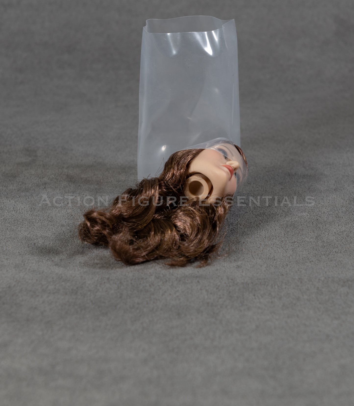 Female Head Sculpt Custom Rooted Hair American European 1/6 Hot Toys TBLeague Scale