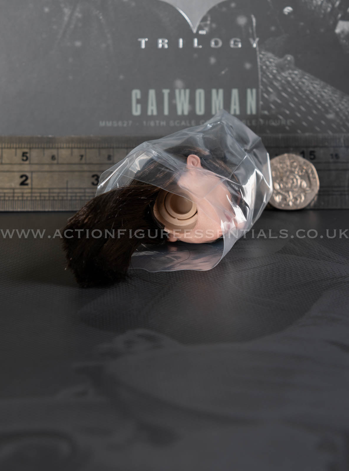 Hot Toys Catwoman Goggles & Head Sculpt with Rooted Hair (Anne Hathaway) - Batman 1/6 Scale Parts MMS627