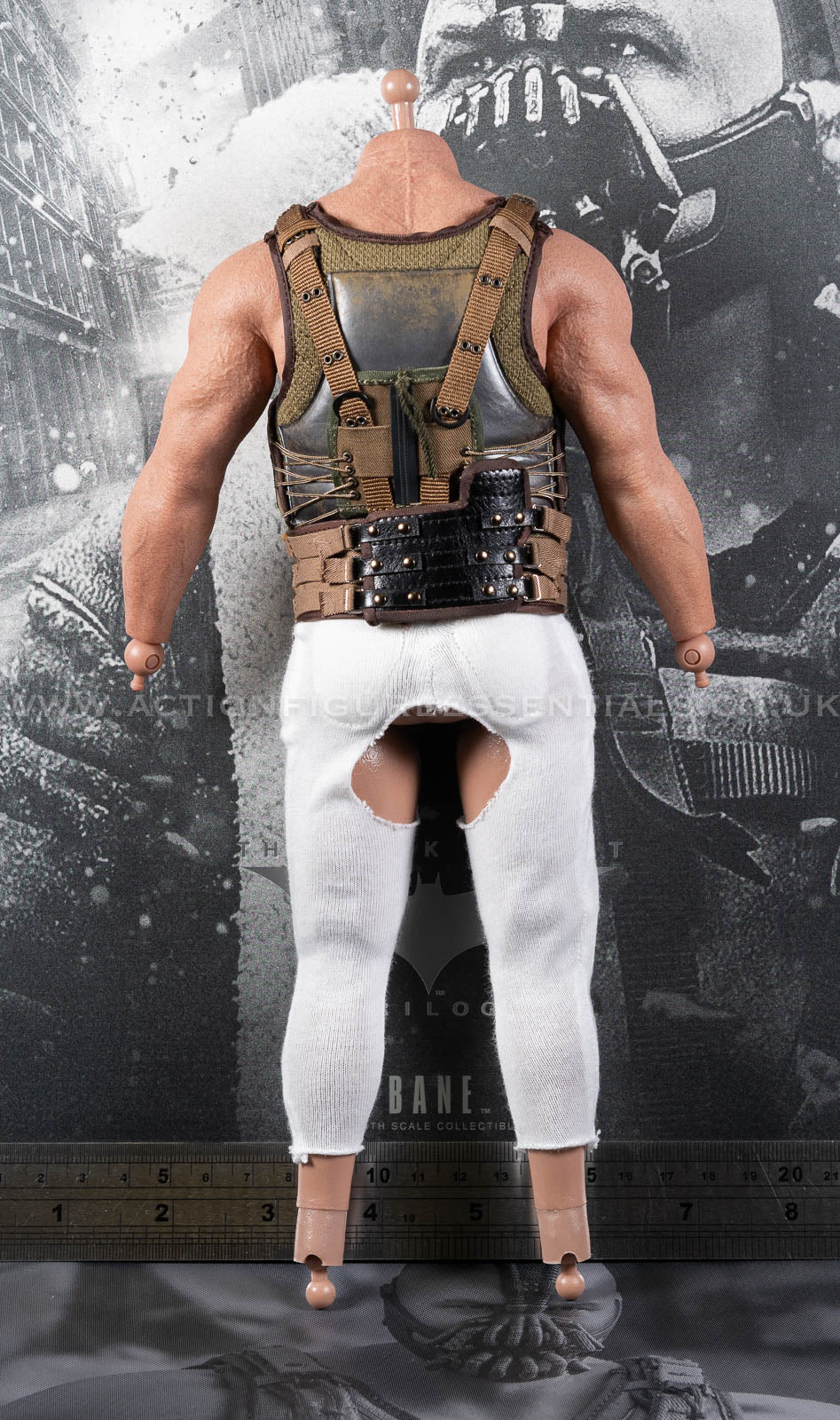 Hot Toys Bane Body & Combat Vest Set MMS689 Batman The Dark Knight DC