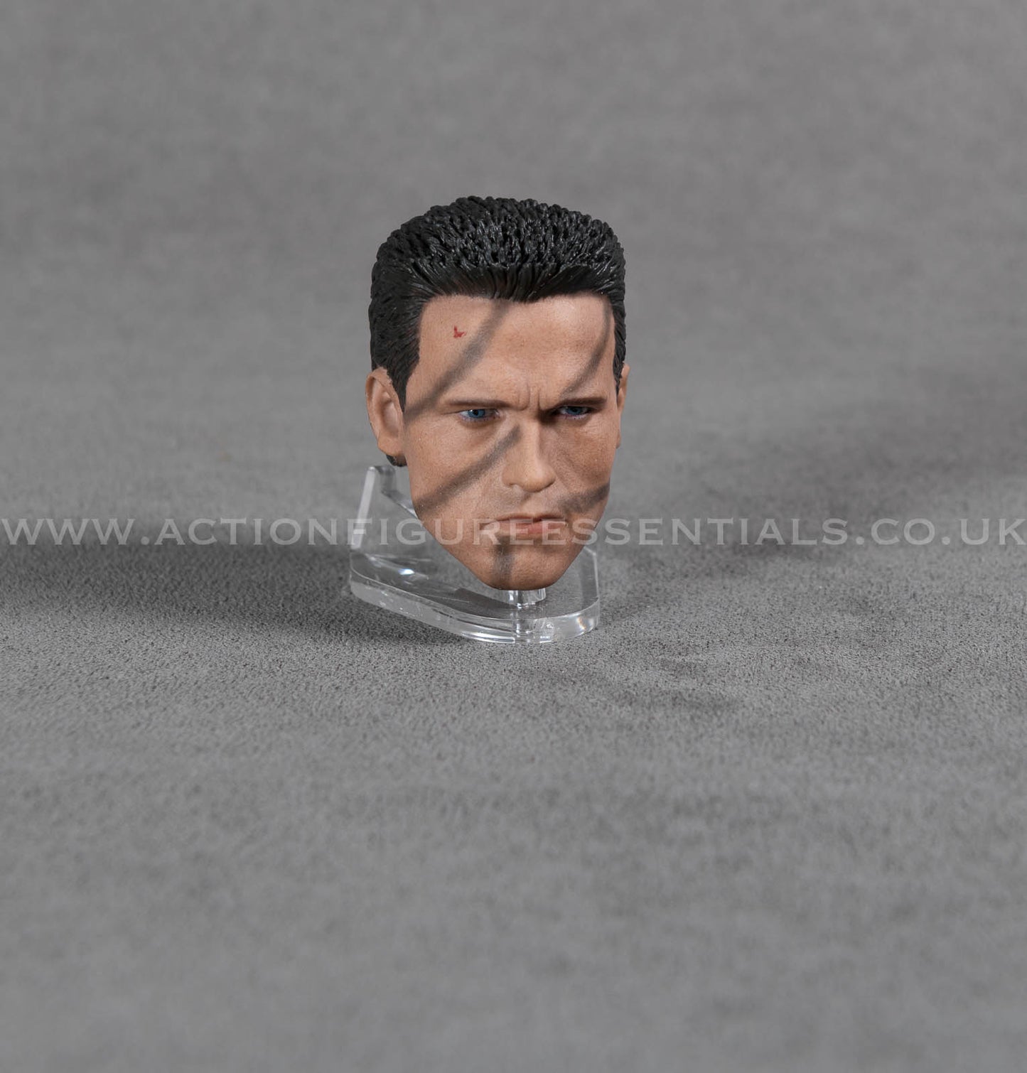 Arnold Schwarzenegger Commando Head Sculpt Custom 1/6 Hot Toys Scale