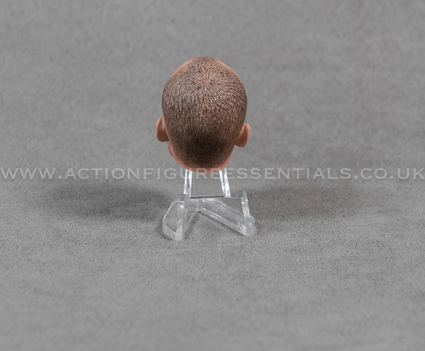 Jason Statham Head Sculpt Custom 12" 1/6 Hot Toys Scale