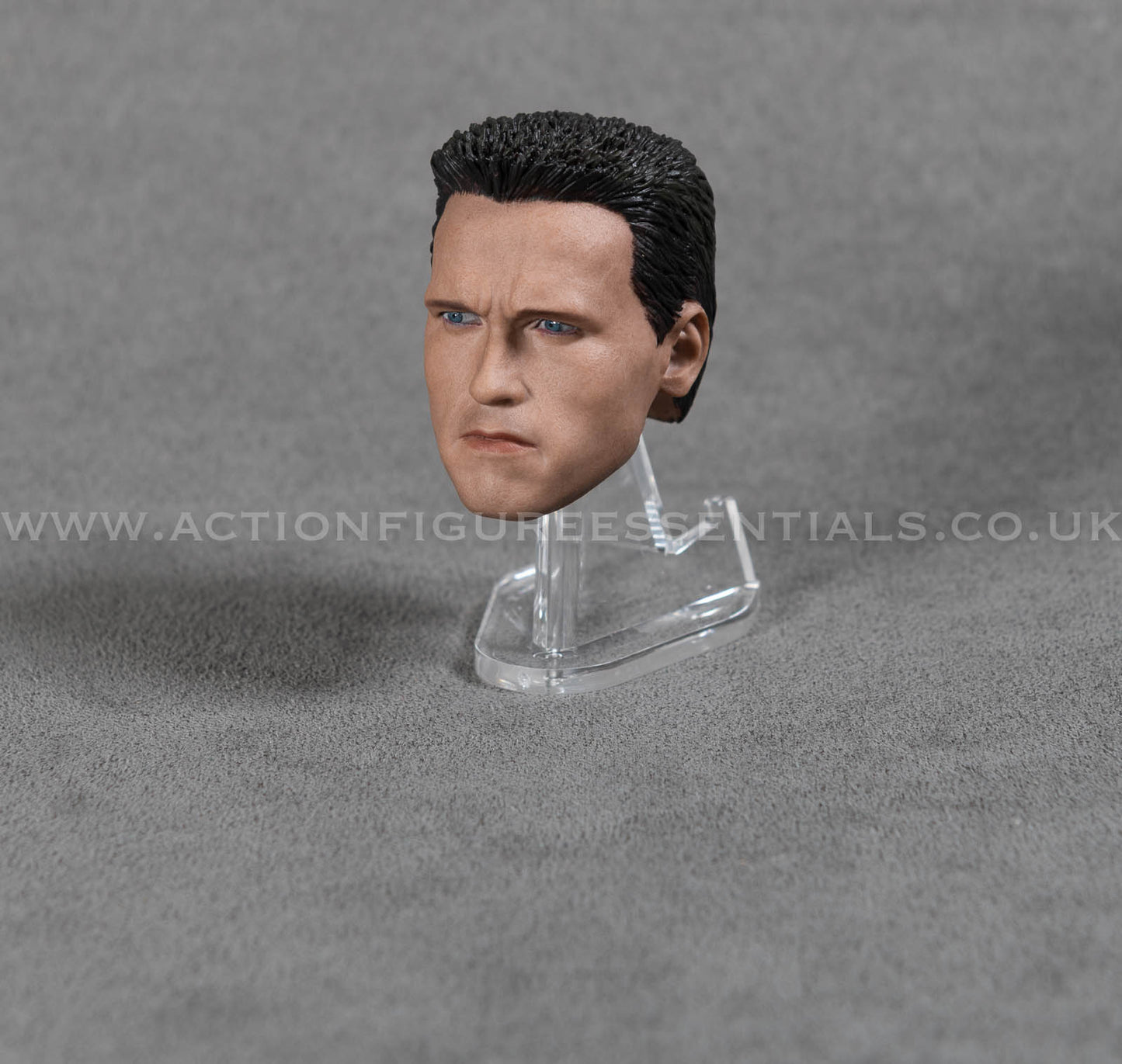 Arnold Schwarzenegger Head Sculpt Custom 1/6 Hot Toys Scale