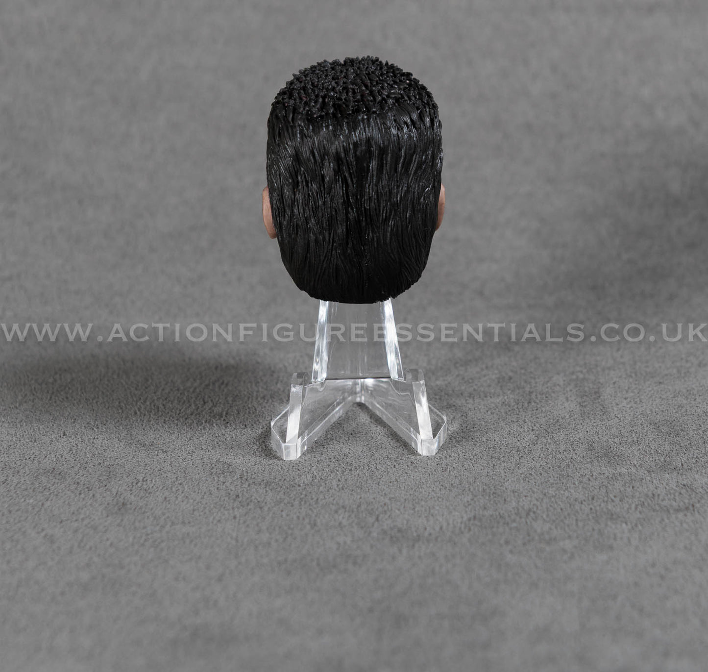 Arnold Schwarzenegger Head Sculpt Custom 1/6 Hot Toys Scale