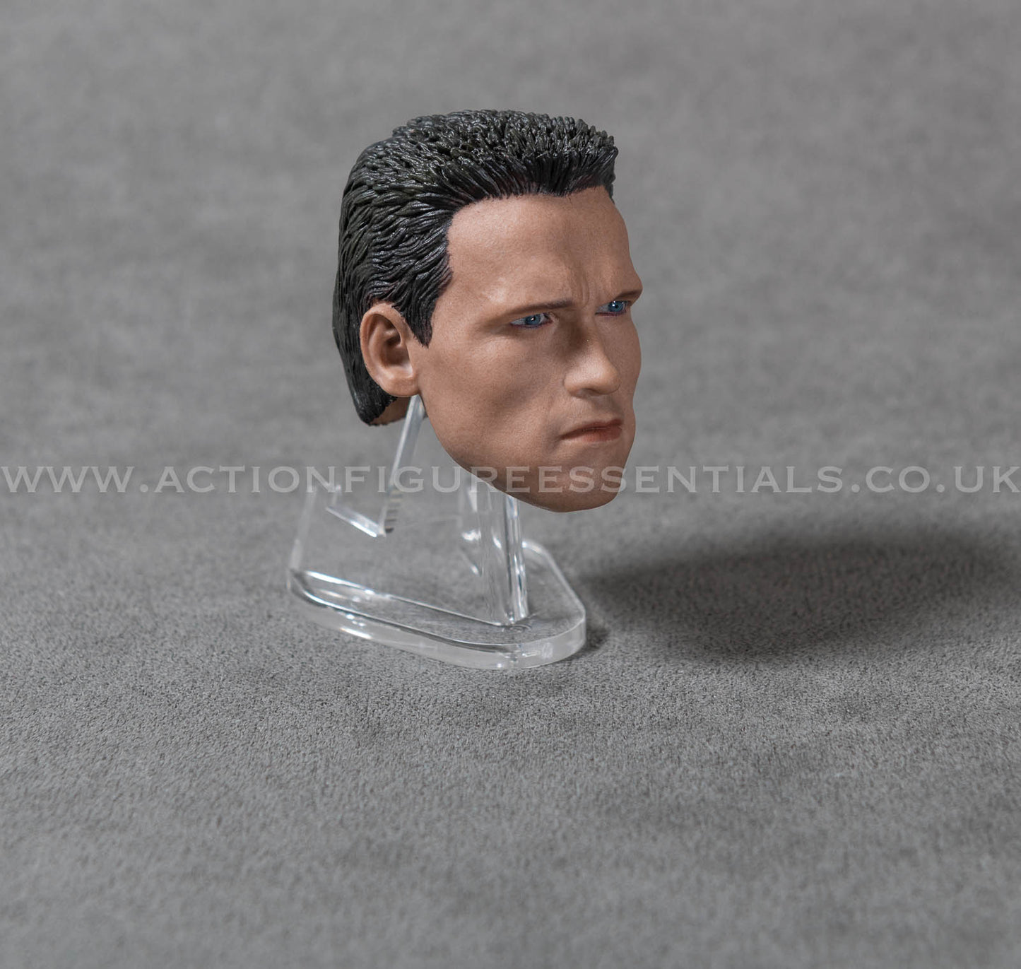 Arnold Schwarzenegger Head Sculpt Custom 1/6 Hot Toys Scale