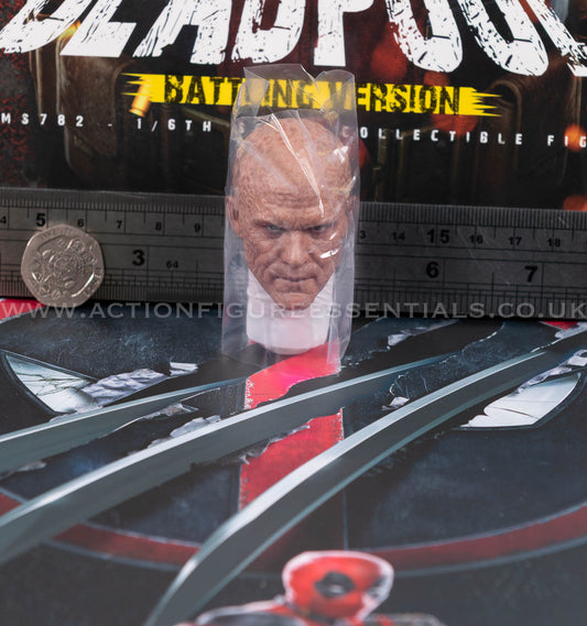 Hot Toys - Deadpool Unmasked (Wade Wilson) Head - Battling Version - MMS782 - 1:6 Loose Parts