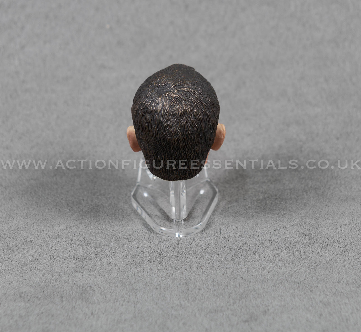1/6 Scale Daniel Craig Custom Head Sculpt – Compatible with 12" Action Figures (James Bond Style)