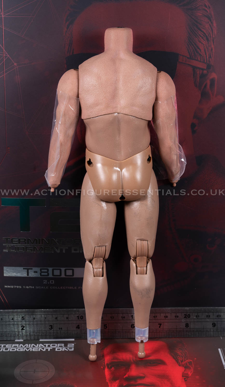 Hot Toys - T-800 Terminator 2 (2.0) - Muscle Body - MMS795 - 1:6 Scale Parts Custom