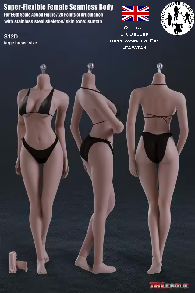 1/6 Phicen TBLeague S12D Female Super Flexible Seamless Large Breast Action Figure Suntan Body