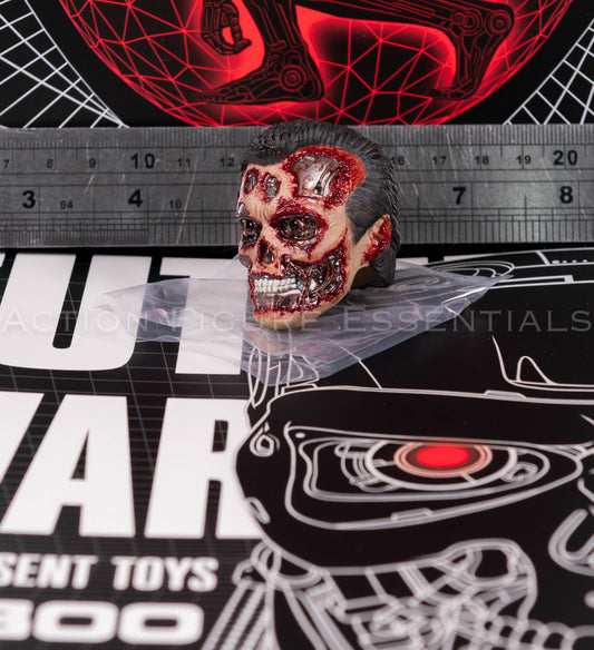 Present Toys T-800 extreme endoskeleton head 1/6 scale, photograph 47