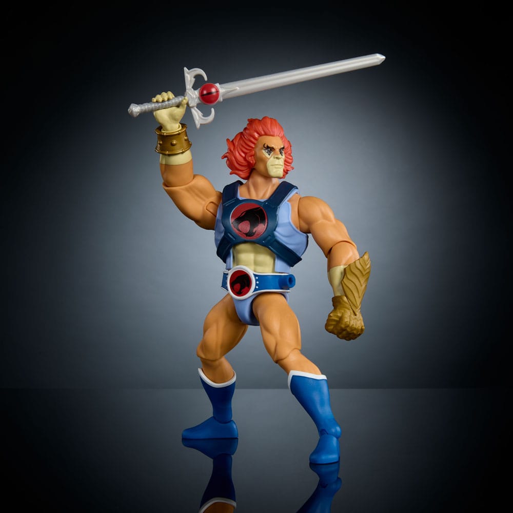 MOTU x Thundercats Lion-O Action Figure Masters of the Universe