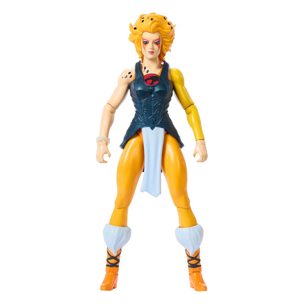 MOTU x Thundercats Cheetara Action Figure Masters of the Universe