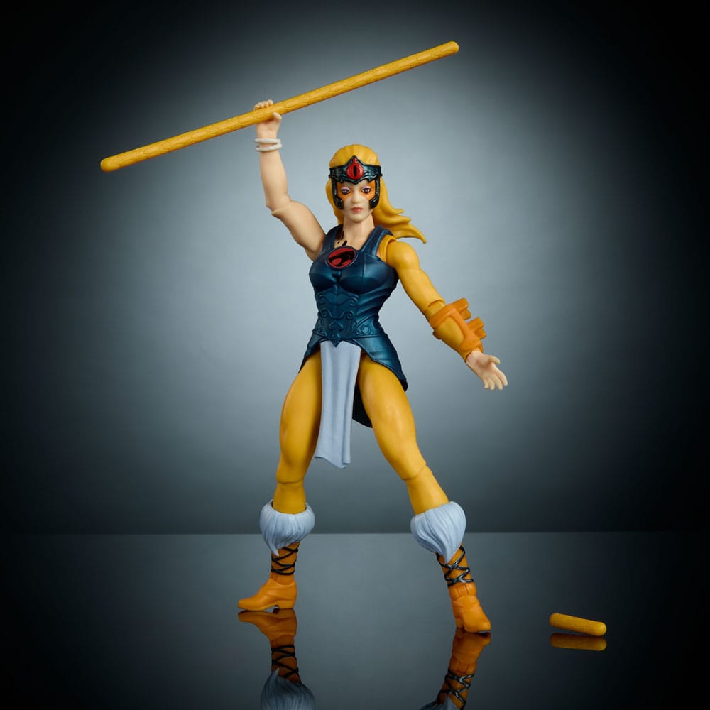 MOTU x Thundercats Cheetara Action Figure Masters of the Universe