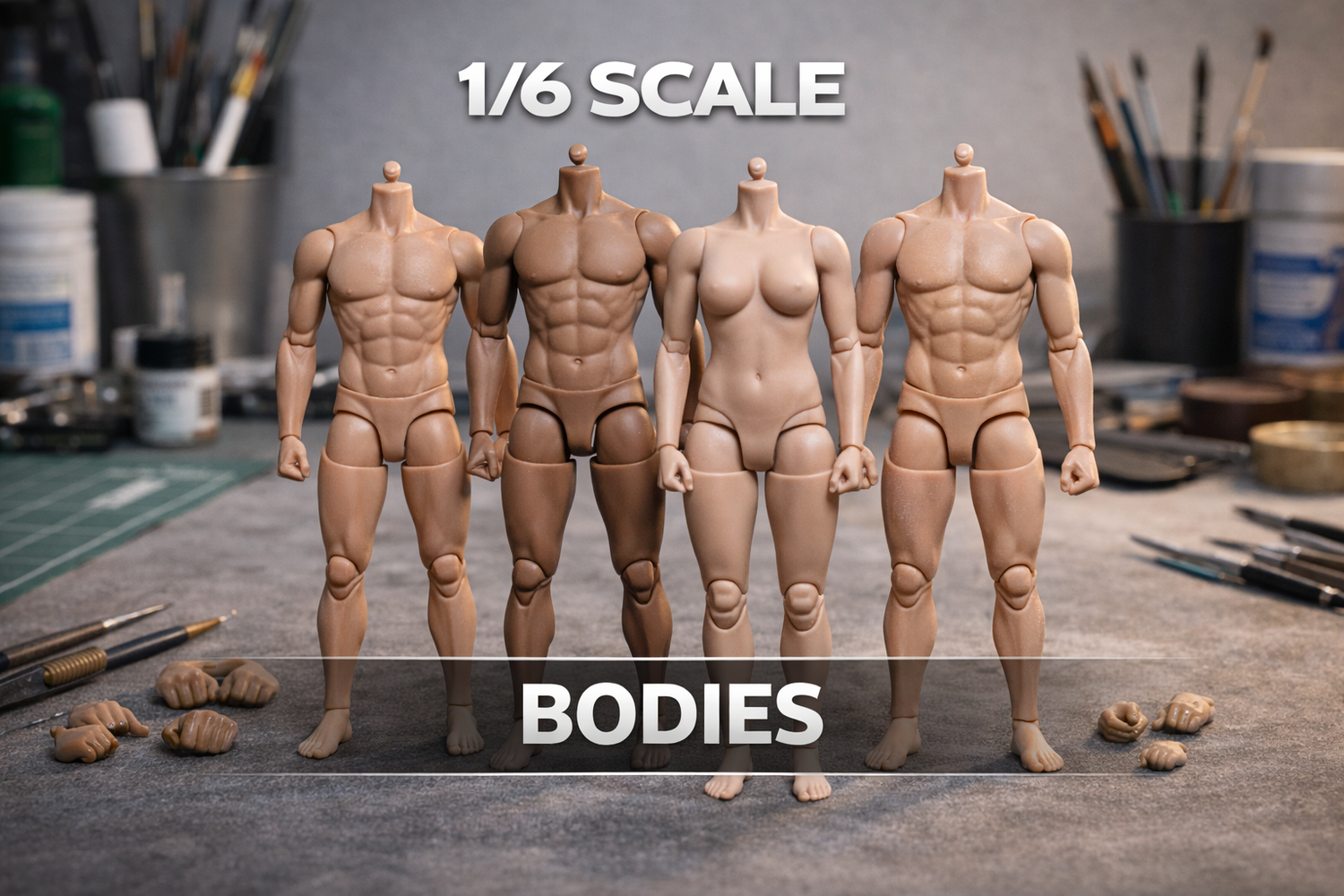 1:6 Bodies • Male • Female