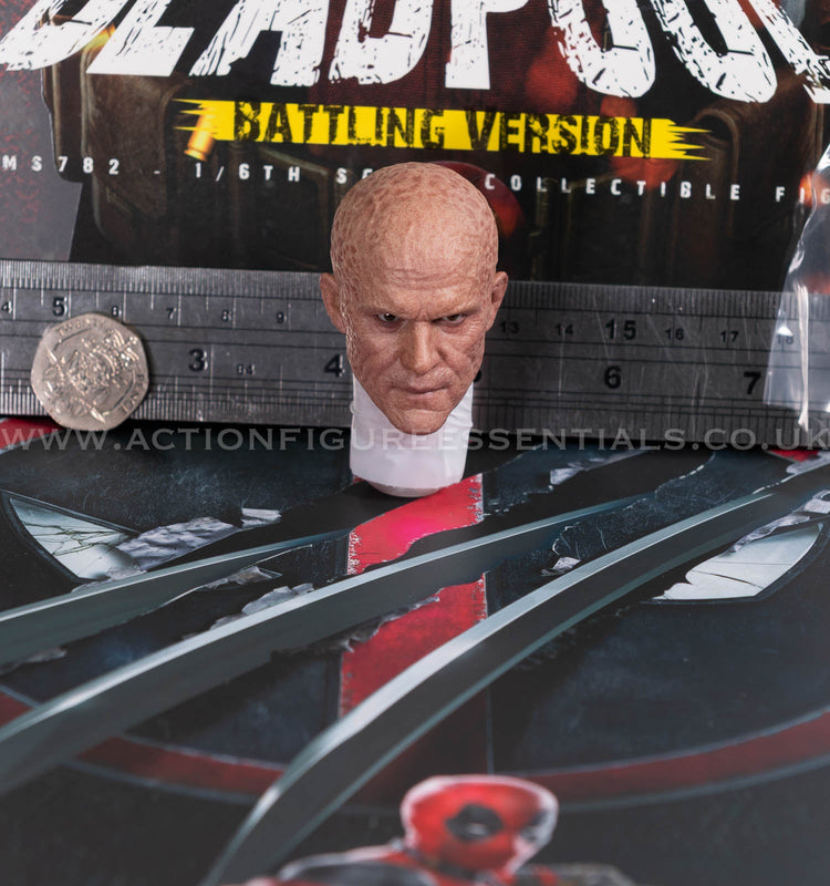 1:6 Head Sculpts • Helmets • Male • Female