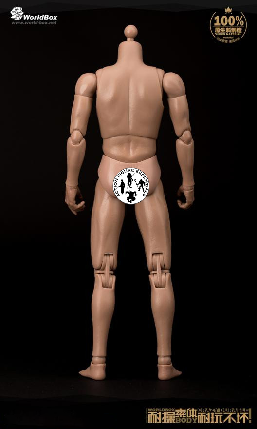 WorldBox 1/6 Scale Premium Body Set - Crazy Durable AT011