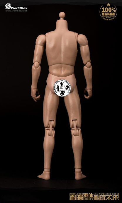 WorldBox 1/6 Scale Premium Body Set - Crazy Durable AT011