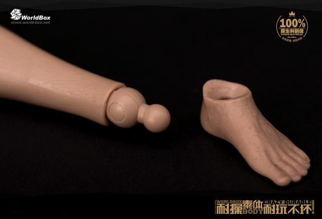 WorldBox 1/6 Scale Premium Body Set - Crazy Durable AT011