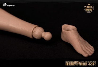 WorldBox 1/6 Scale Premium Body Set - Crazy Durable AT011