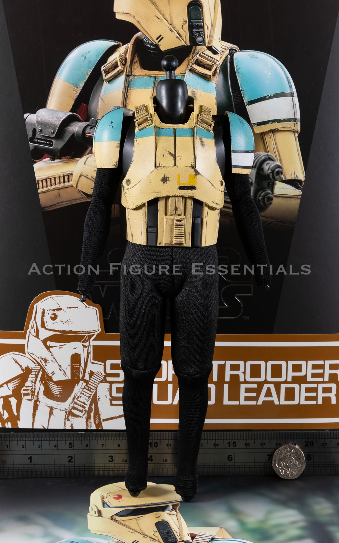 Hot Toys Star Wars Shoretrooper Body Set Squad Leader MMS592 1/6 Parts Rogue One