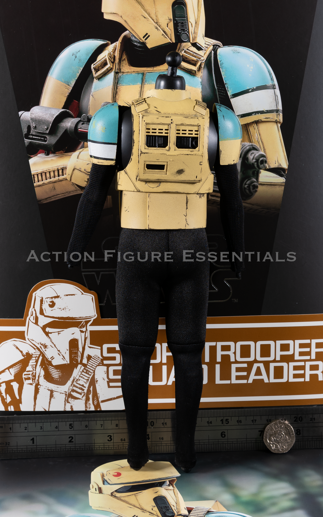 Hot Toys Star Wars Shoretrooper Body Set Squad Leader MMS592 1/6 Parts Rogue One