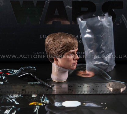 Hot Toys Star Wars Luke Skywalker Head Sculpt 1/6 DX23 The Mandalorian DX22