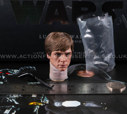 Hot Toys Star Wars Luke Skywalker Head Sculpt 1/6 DX23 The Mandalorian DX22