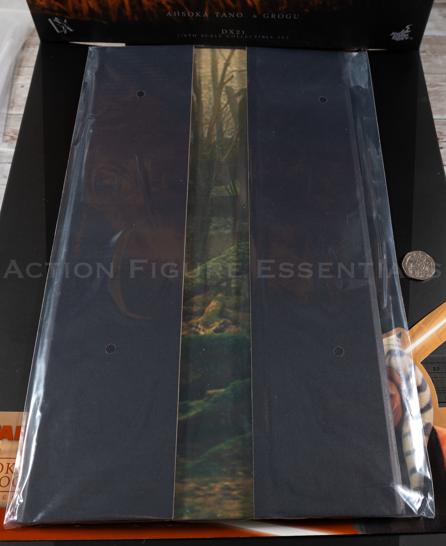 Hot Toys Ahsoka Tano Backdrop Diorama Stand 1/6 DX21 Star Wars Jedi Dagobah Forest