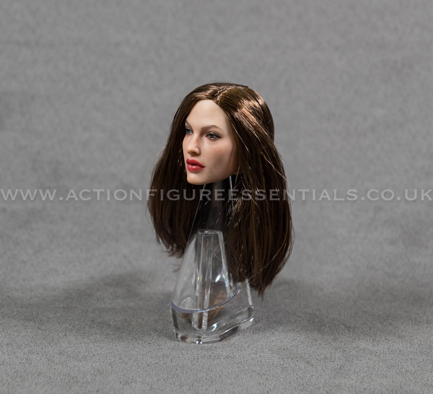 Female Head Sculpt Custom Rooted Hair American European Model Actress 1/6 Hot Toys TBLeague Scale