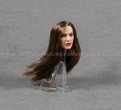 Female Head Sculpt Custom Rooted Hair American European Model Actress 1/6 Hot Toys TBLeague Scale