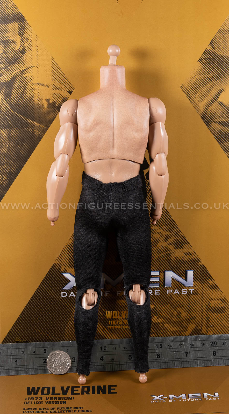 Hot Toys - Wolverine - Body - Hugh Jackman - 1973 - MMS660 Deluxe 1:6 Loose Parts