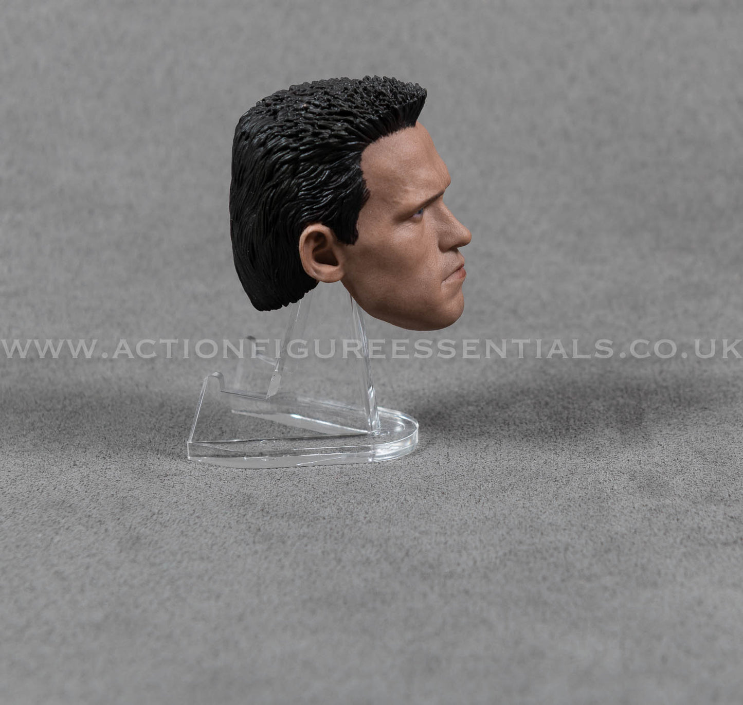 Arnold Schwarzenegger Head Sculpt Custom 1/6 Hot Toys Scale