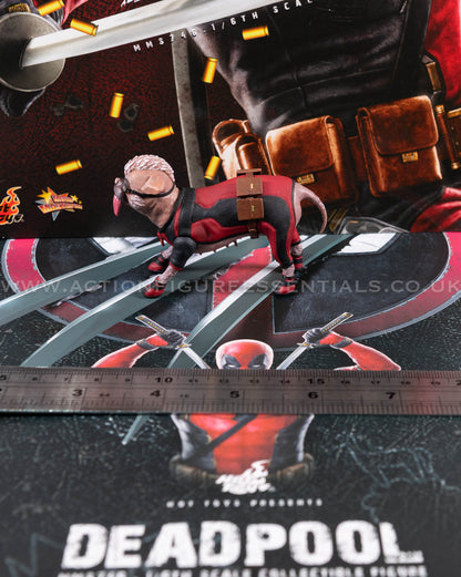 Hot Toys - Deadpool Dogpool - MMS746 - 1:6 Scale Loose Parts