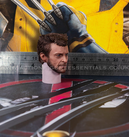 Hot Toys - Wolverine Deluxe Logan Head Sculpt - Deadpool v Wolverine - MMS754 - 1:6 Scale Parts Marvel