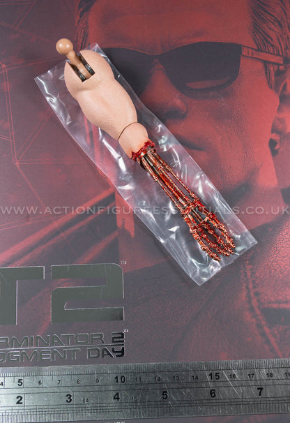 Hot Toys - T-800 Terminator 2 (2.0) - Endoskeleton Arm - MMS795 - 1:6 Scale Parts Custom