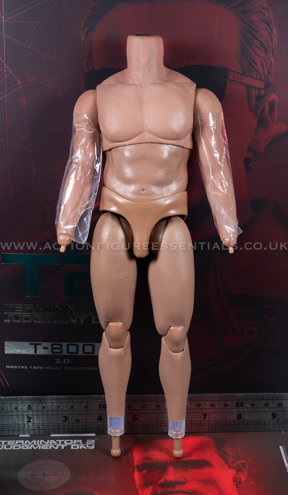 Hot Toys - T-800 Terminator 2 (2.0) - Muscle Body - MMS795 - 1:6 Scale Parts Custom