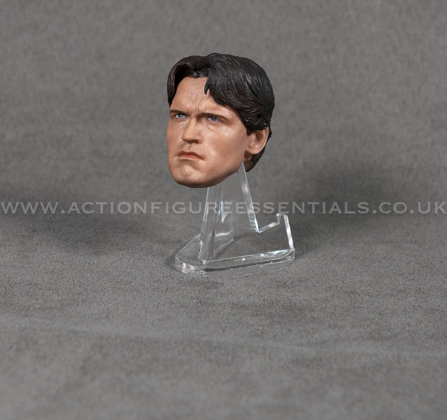 1/6 Scale Terminator Head Sculpt Arnold Schwarzenegger Custom T800 1984 Style