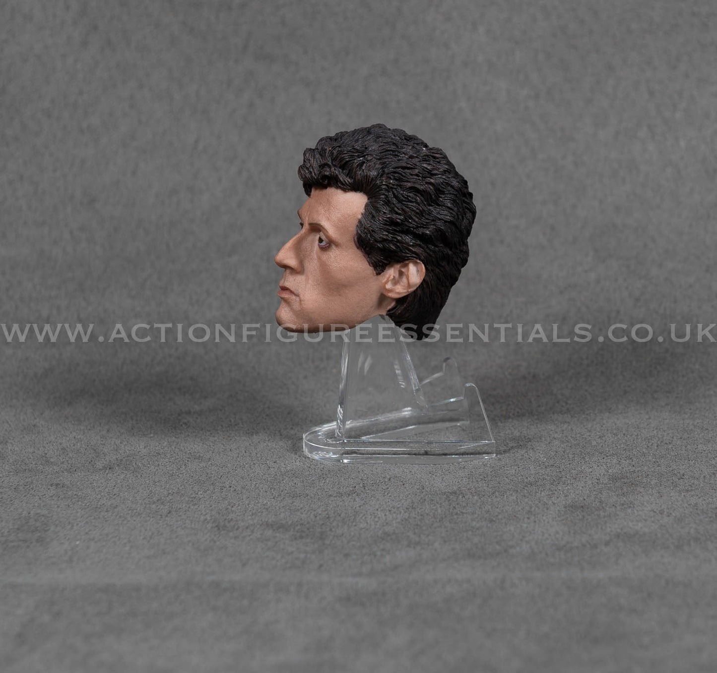 1/6 Scale Sylvester Stallone Head Sculpt Custom Rambo Rocky Sixth Scale Head