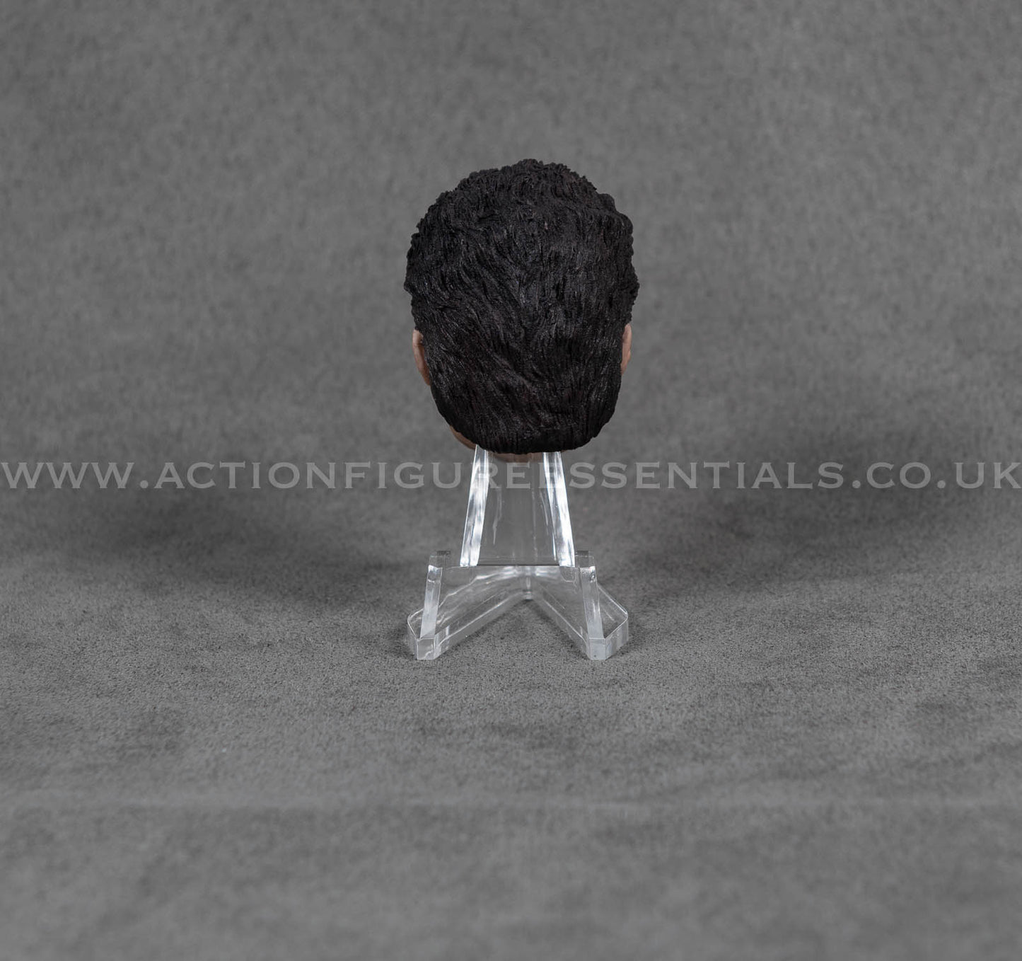 1/6 Scale Sylvester Stallone Head Sculpt Custom Rambo Rocky Sixth Scale Head