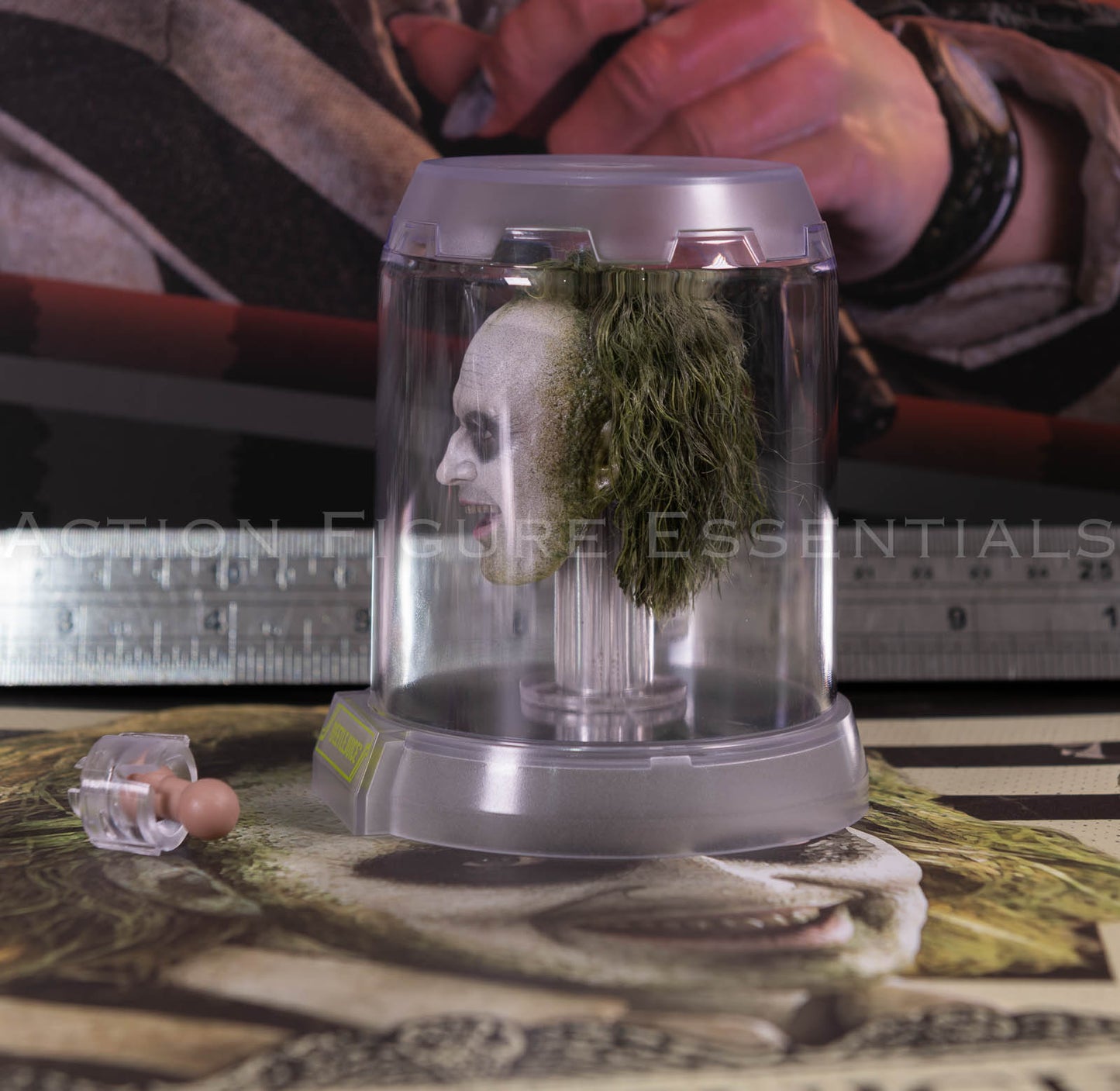 Hot Toys Beetlejuice MMS767 Rolling Eyeballs Head Sculpt with Display Case Neck Peg Genuine 1/6 Scale