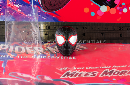 Hot Toys Miles Morales Spider-Man: Into the Spider-Verse MMS567 1/6 Spider-Man Head Sculpt & Eye Set Figure Part