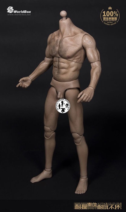 WorldBox AT012 1/6 Scale Muscular Male Action Figure Body