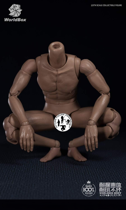 WorldBox 1/6 Scale Premium Body Set - Crazy Durable AT020