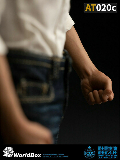 WorldBox 1/6 Scale Premium Seamless Arms – Fine Detailing (AT020C)