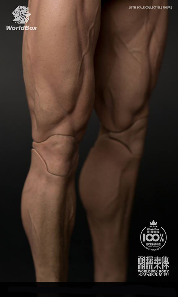 WorldBox AT027 1/6 Scale Extra-Large Muscular Male Figure Body