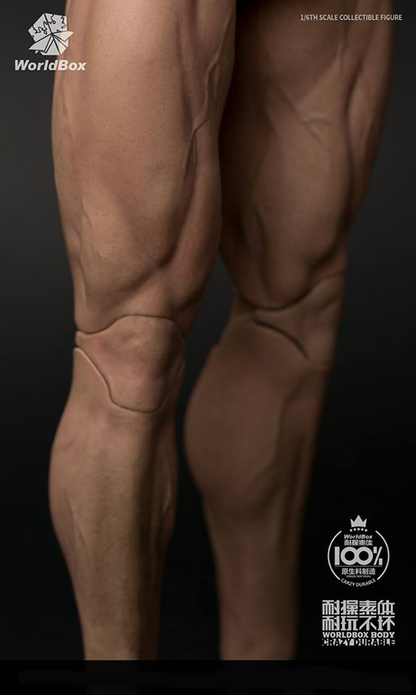 WorldBox AT027 1/6 Scale Extra-Large Muscular Male Figure Body
