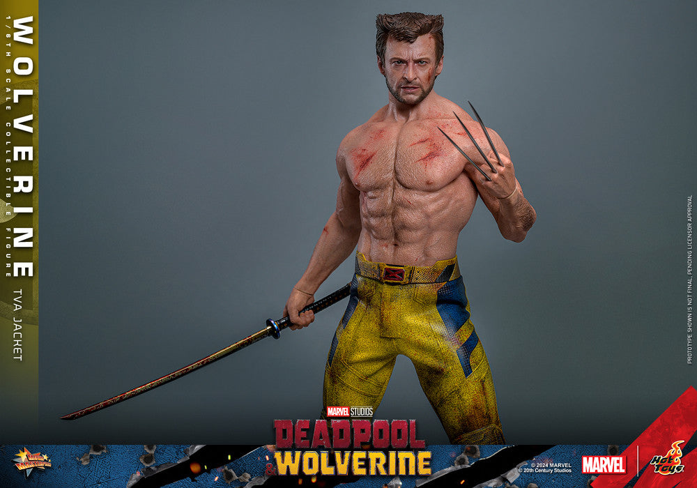 Hot Toys - Wolverine - TVA Jacket Version - MMS756 - 1:6 Scale Action Figure