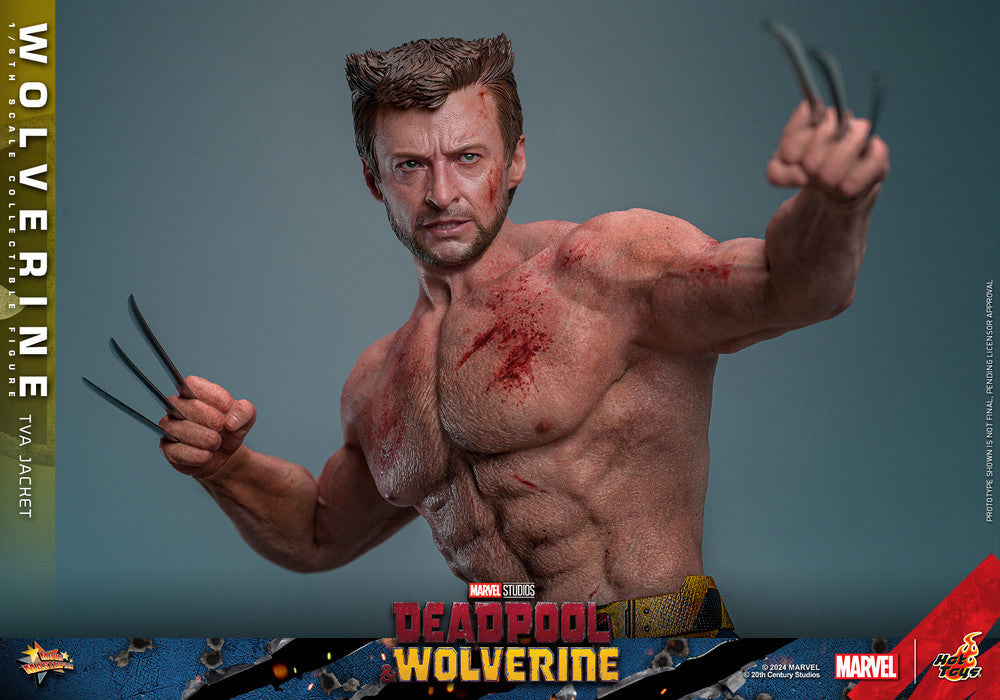 Hot Toys - Wolverine - TVA Jacket Version - MMS756 - 1:6 Scale Action Figure