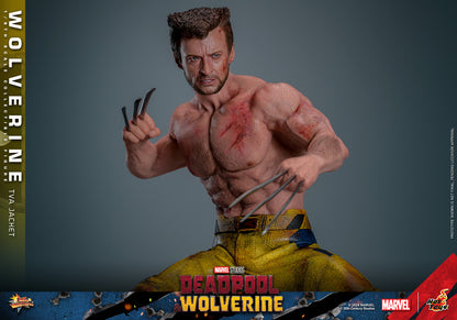 Hot Toys - Wolverine - TVA Jacket Version - MMS756 - 1:6 Scale Action Figure