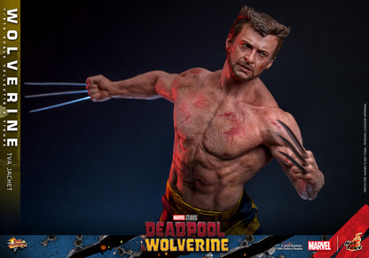 Hot Toys - Wolverine - TVA Jacket Version - MMS756 - 1:6 Scale Action Figure